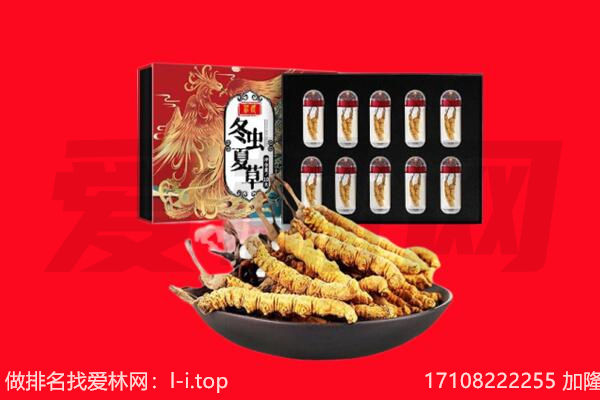 保定蠡县回收虫草.jpg